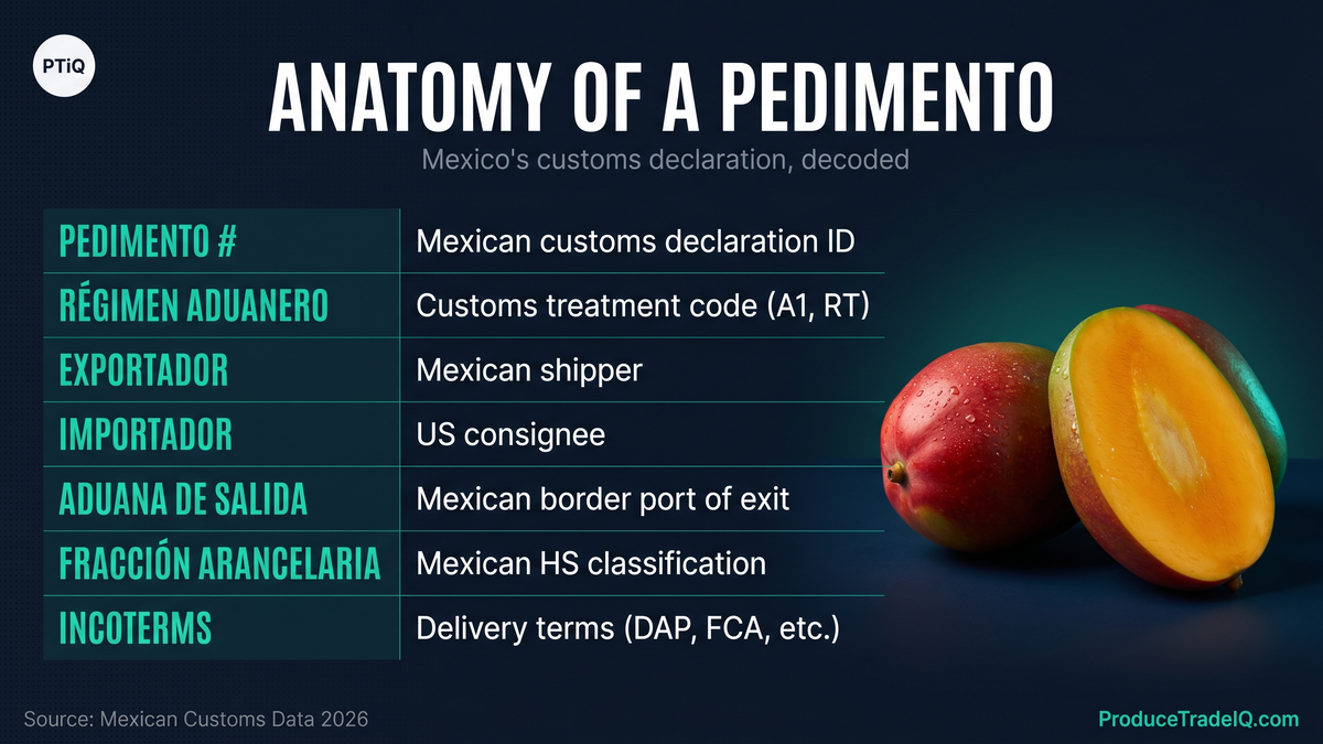 Anatomy of a Pedimento — Mexico's customs declaration, decoded