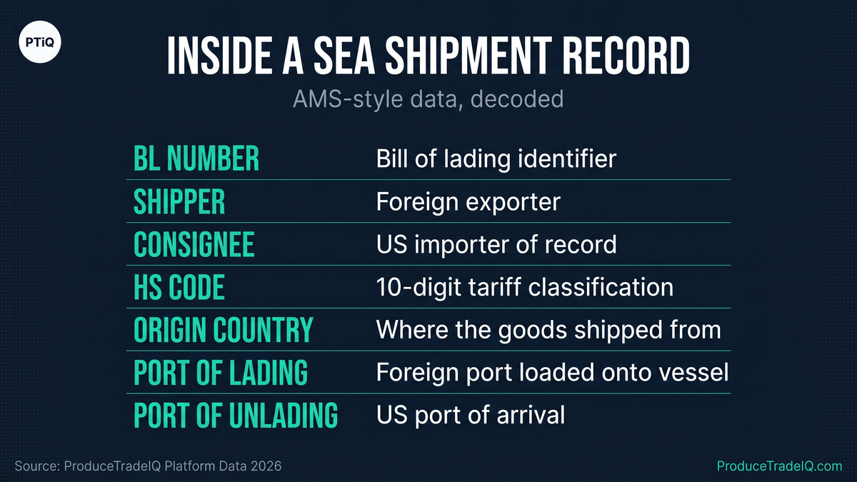 Inside a sea shipment record — AMS-style data, decoded
