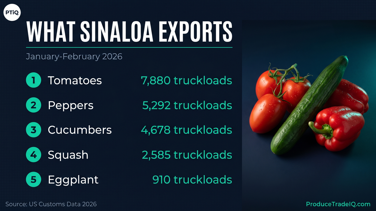 What Sinaloa exports — tomatoes, peppers, cucumbers, squash, eggplant by USD value, January-February 2026