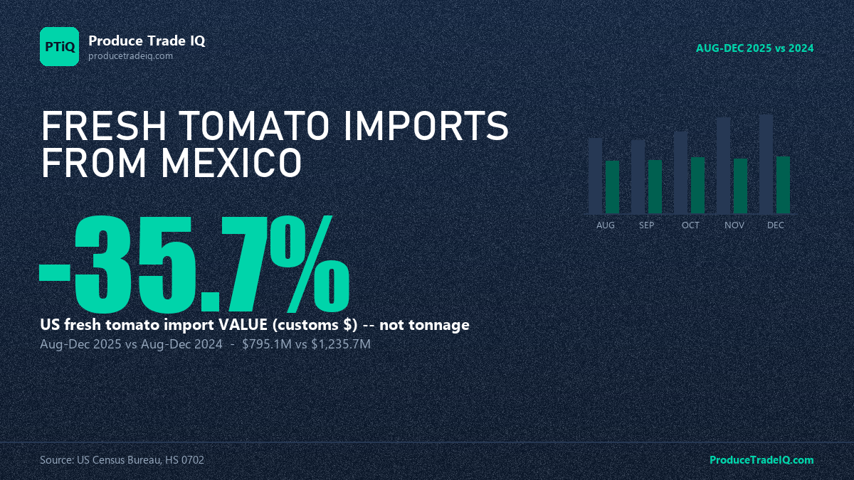 US fresh tomato import value from Mexico fell 35.7% in the duty's first five months — Aug-Dec 2025 vs 2024